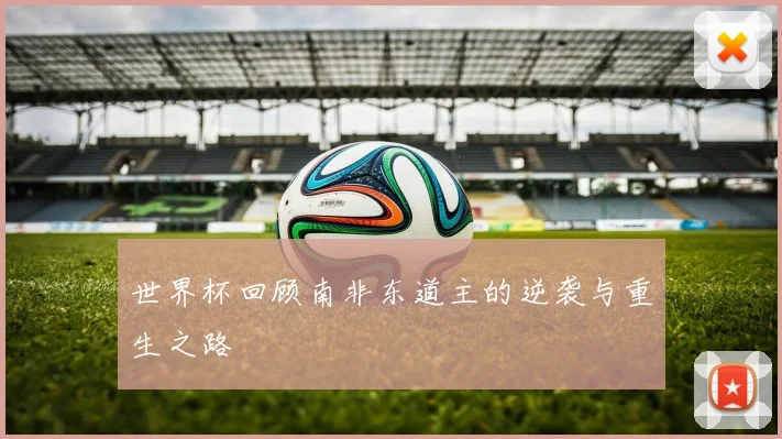 世界杯回顾南非东道主的逆袭与重生之路